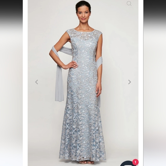 Alex Evenings Fit and Flare Light Blue Sheer Lace Maxi Dress-Sweetheart-Sz 8P - Picture 1 of 16